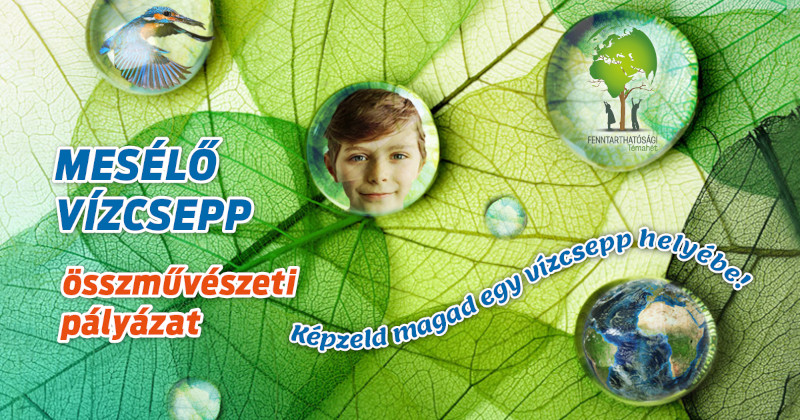 MESÉLŐ VÍZCSEPP ÖSSZMŰVÉSZETI PÁLYÁZAT 2022.