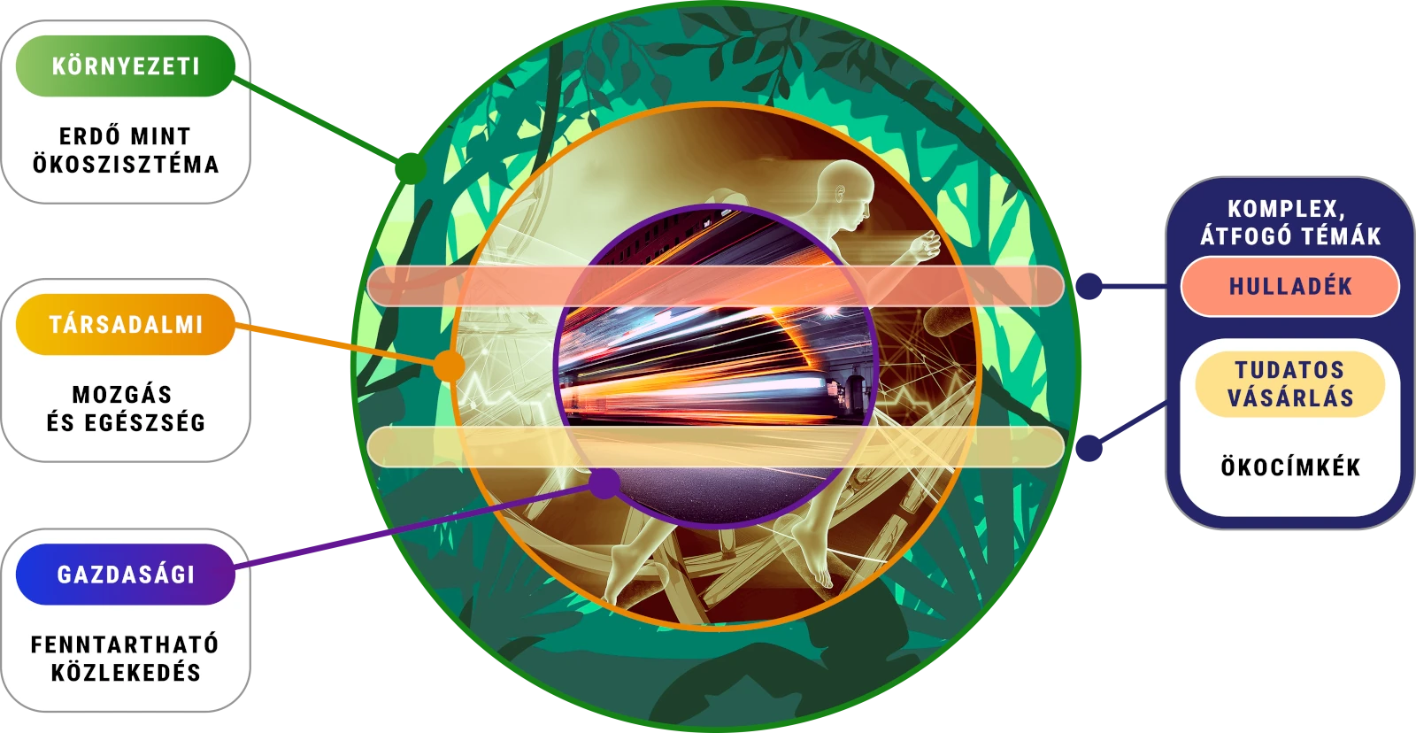 Az erdő mint ökoszisztéma, mozgás és egészség, fenntartható közlekedés, hulladék, valamint tudatos vásárlás - ökocímkék.