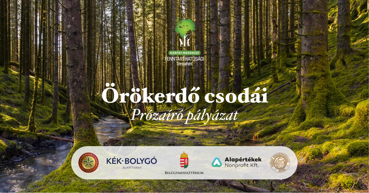 AZ ÖRÖKERDŐ CSODÁI – PRÓZAÍRÓ PÁLYÁZAT 2026.