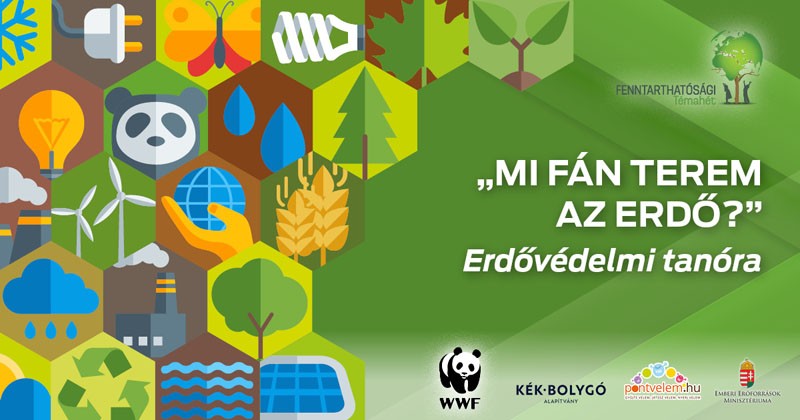 "Mi fán terem az erdő?” erdővédelmi tanóra