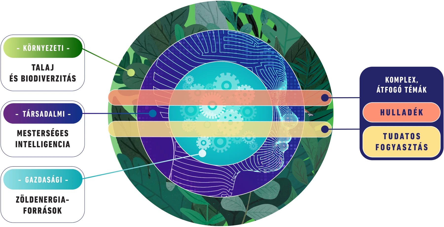 Talaj és biodiverzitás, zöldenergia-források, mesterséges intelligencia, hulladék, valamint tudatos fogyasztói magatartás és fogyasztóvédelem.